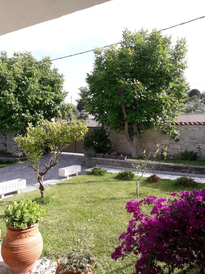 Villa Panorama 佩科霍里 外观 照片